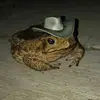 Billy Three - @billy.three - TikTok