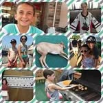 Bill Thurman - @thurman.bill - Instagram