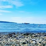 Minh Vu - @billy_vu_ - Instagram