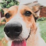 Billy Weber - @bilo.quito - Instagram