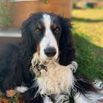 Bill Wenzel - @zr1bill - Instagram