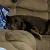 billybigwhite - @billybigwhite - TikTok