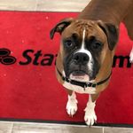 Billy Williamson State Farm - @billywilliamsonstatefarm - Instagram