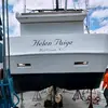 Billy Willis - @billy.willis53 - TikTok