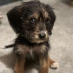 Billy Winston - @billywinston33 - Instagram