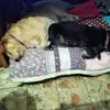 Billy Winston - @billy.winston7 - TikTok