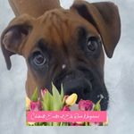 Billy Wiseman - @kathybilly78 - Instagram