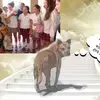 billywiseman438 - @billywiseman438 - TikTok