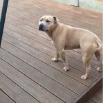 Billywiseman - @billywiseman2004 - Instagram
