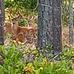 Bill Witherspoon - Facebook