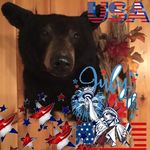 Billy Witt - @bowkill12 - Instagram
