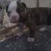 Billy Witte - Facebook