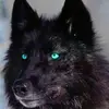 billywolf455 - @billywolf455 - TikTok