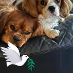 Billy Woosley - Facebook