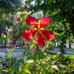 Billy Wooten - Facebook