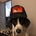 Billy Word - @billyword - Instagram