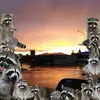 Billy Workman - @billyworkman7 - TikTok