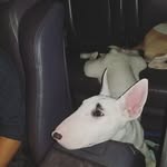 BILLY WORKS. - @works.billy - Instagram
