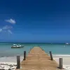 billy_worrell - @billy_worrell - TikTok