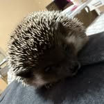Billy Wyant - @billyjowyant - Instagram
