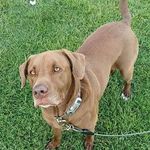 Bill Christine Wyrick - @boombaby07 - Instagram