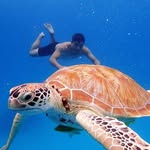 Billy Yap - @billy.yap.524 - Instagram