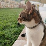 @billy.yehezkel - Instagram