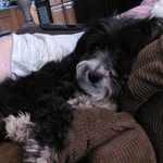 Bill Yeomans - @bill.yeomans.56 - Instagram