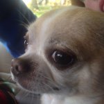 Billy Yinger - @billyyinger - Instagram
