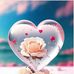 Bailey Ashim - Facebook