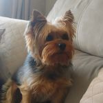Billy - @billy__york_ - Instagram