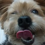 Billy Yun - @cby050 - Instagram