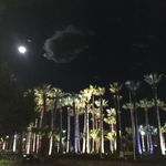Billy Zane - @tazrian1 - Instagram
