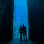 @billyjoe_smith1 - Instagram