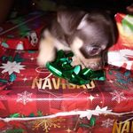 Bilma Gonzalez - @bilma.gonzalez.902 - Instagram