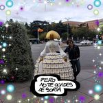 Mari Carmen Gonzalez - @bilmagonzalez65 - Instagram