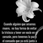 Bilma Guzman Alvarez - @bilmaguzman8877 - Instagram