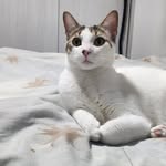 Bilma Morales Marin - @bilmamoralesmarin - Instagram