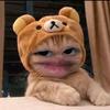 Bim Ksor - @user335523617 - TikTok