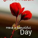 Bimal Adhikari - @bimal.adhikari.7921 - Instagram