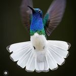 Bimal Desai - @bimal._.desai - Instagram