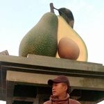 Bimal Rai - @bimalraaii - Instagram