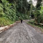 Bin Kong - @85pink - Instagram