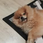 บิลเลี่ยนนนนน🐶 - @binlian_pb - Instagram