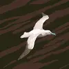 binliangzhileon - @binliangzhileon - TikTok