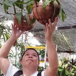 Bin Louis Bagang - @binlouisbagang - Instagram