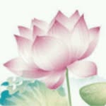 天之骄子 - @bin.meng - Instagram