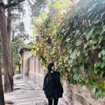 Bin Meng - @bin.meng.399 - Instagram
