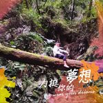 Cheng Bin Miao - @chengbinmiao - Instagram
