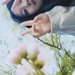 @binn.oud - Instagram